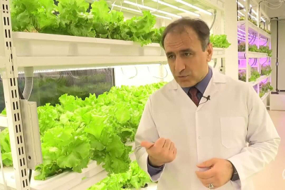Yerin 30 metre altında yüzde 95 su tasarrufuyla sebze yetiştiriyorlar