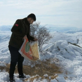 Bayburt’ta yaban hayvanları için doğaya yem bırakıldı