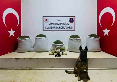 Lice’de 91 kilo esrar ele geçirildi
