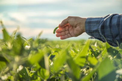 The Ministry of Agriculture and Forestry will recruit 1,500 workers