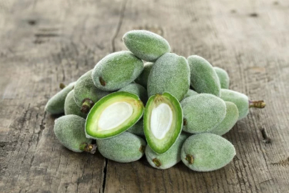 The unripe green almonds displayed on stands in Diyarbakır are being sold for 100 lira