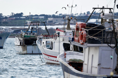 Kıyı balıkçılığı yapanların sayısında azalış tedirgin ediyor