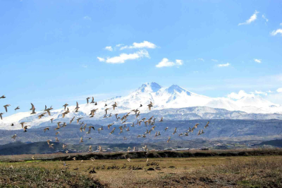 Kayseri’nin doğal kuş cenneti baharı müjdeliyor
