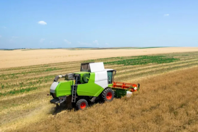 The 2024 harvest season opened in Sungurlu