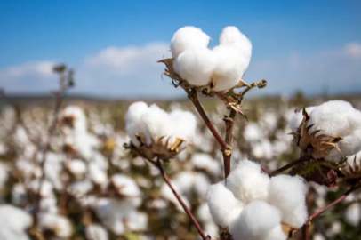 Two significant investments from Söke Tariş Cotton Cooperative for the season