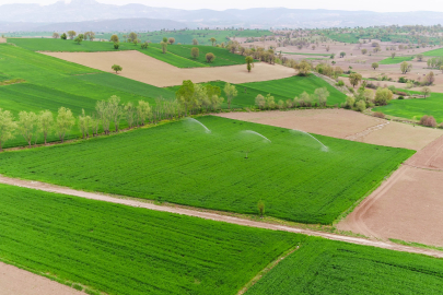 Samsun’da bu sezon 445 bin 130 dekar tarım arazisi sulanacak