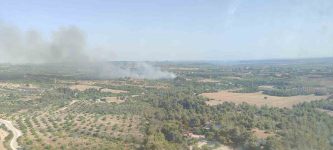 Adana’da çıkan orman yangını kontrol altına alındı