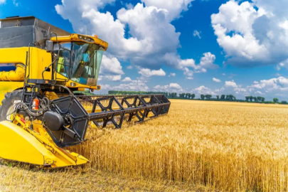 Grain harvest has begun