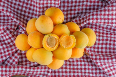 Apricot producers in Malatya are waiting for the Turkish Grain Board (TMO) to make purchases