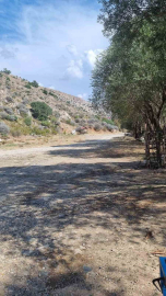 Develi’de doğaseverler mesire alanlarını pırıl pırıl yaptı