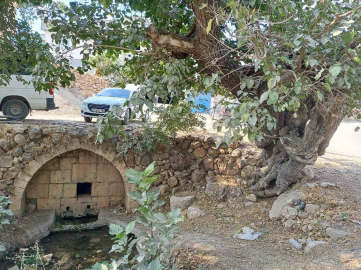 Araban’daki Roma dönemine ait tarihi çeşmeler kurtarılmayı bekliyor