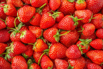 Hüyük strawberry has been registered by the EU.