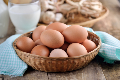 Egg Consumption in Turkey Falls Below Target Levels