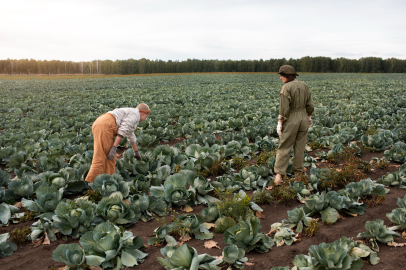 Climate Change Induced Crisis in Western Mediterranean Agriculture