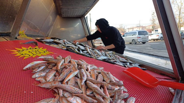 Düzce'de Balık Tezgahları Bereketle Doldu