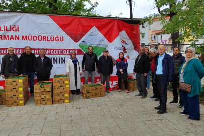 Yüzde 75’i bakanlık destekli fideler çiftçilere dağıtıldı