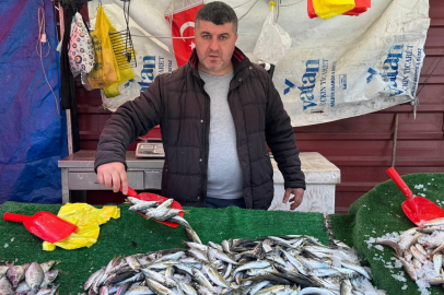 Balık sezonu bitmesine rağmen tezgahlarda hareketlilik sürüyor