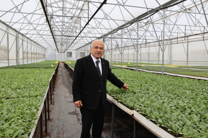 "5 yılda kendi ürettiğimiz 4 milyon fideyi üreticilerimize dağıttık"