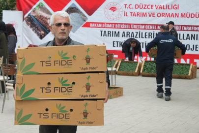 Atıl tarım arazilerinde sebze yetişecek