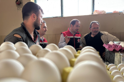 Yumurta tavukçuluğu sektörüne yeni tesis geliyor
