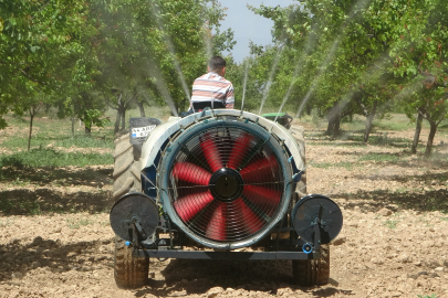 Malatya'da yeniden yeşeren kayısı ağaçları çiftçileri umutlandırdı