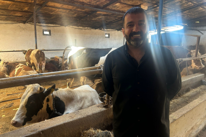 Bayrama günler kala bazı üreticide kurbanlık hayvanlar tükendi