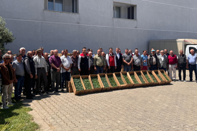 Tekirdağ’da 314 üreticiye 283 bin sebze fidesi dağıtıldı