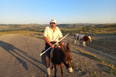 Yozgat'ta 80 bin liraya çoban bulunamıyor