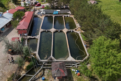 Denize kıyısı olmayan Sivas'ta üretilen balıklar dünyaya pazarlanıyor
