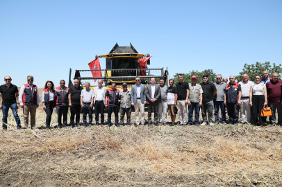 Silivri'de kanola ve buğday hasadı başladı