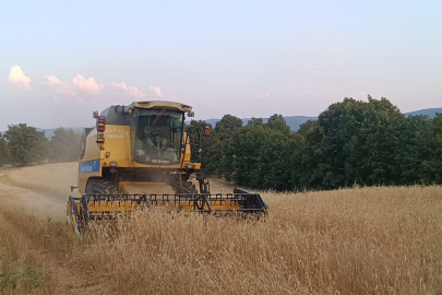 Pazaryeri’nde Arpa Ve Buğday Hasadı Çiftçiyi Sevindirdi