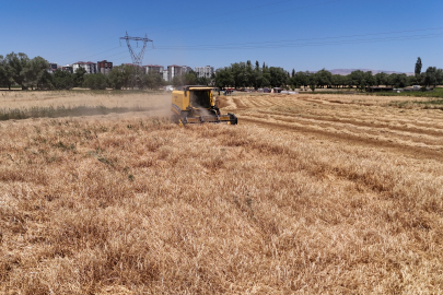 Türkiye'nin tahıl ambarında hasat başladı, çiftçinin yüzü güldü