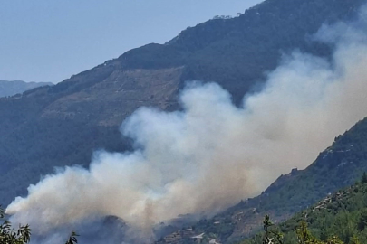 Gazipaşa'da ormanlık alanda yangın