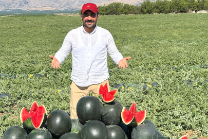 Malatya'da karpuz ve kavunda verimli hasat