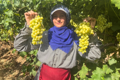 Buldan'ın meşhur üzümü Avrupa ve Arap ülkelerine gönderiliyor