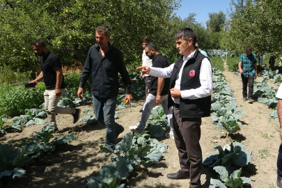 Modern basınçlı sulama sistemi hem kolaylığı hem verimi arttırıyor
