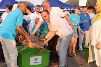 Tedavi edilen caretta carettaların yolculuğu yerli uydu ile izlenecek
