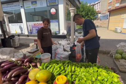 Üniversiteli kardeşler hem aileleri hem de kendileri için üretiyor