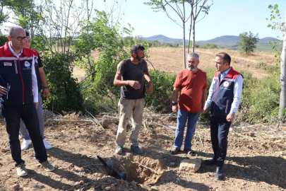Edirne'de sera yatırımlarıyla tarımsal üretim kapasitesi artırılıyor