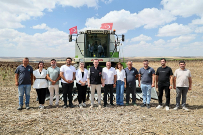 Silivri'de bin 500 dekar alanda ayçiçeği hasadı başladı