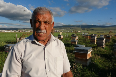 Ardahan'da 450 ton bal üretildi