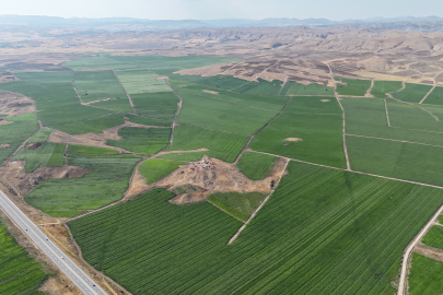110 bin dekardaki patates ekiminden 460 bin ton rekolte bekleniyor