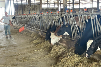 Süt üreticilerinden 'yem dayatması'na tepki