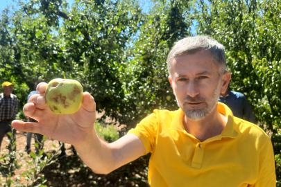 Konya'da etkili olan dolu, bahçelere zarar verdi