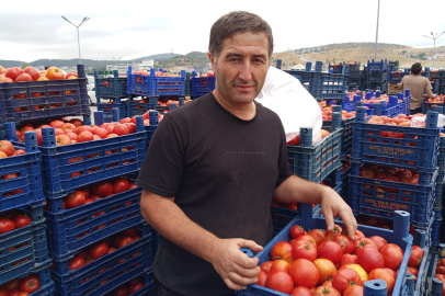 20- 25 kilogram ağırlığındaki 1 kasa domates 150 ile 230 TL arasında