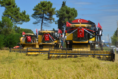 Alaçam’da İlk Çeltik Hasat Günü Düzenlendi