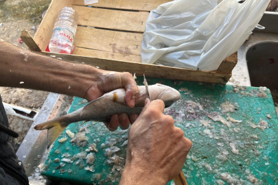 İzmir’de Balıkçılar Gece Avlıyor, Sabah Mezatla Satıyor