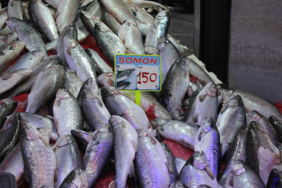 Karadeniz’de Bol Hamsi Vatandaşı Sevindirdi