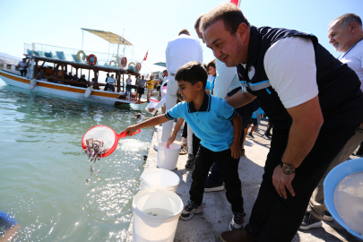 Muğla’da 160 Bin Balık Yavrusu Denizle Buluştu