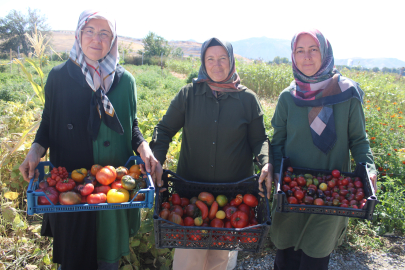 Yediveren Kadın Kooperatifi Ata Tohumlarıyla Üretimi Sürdürüyor